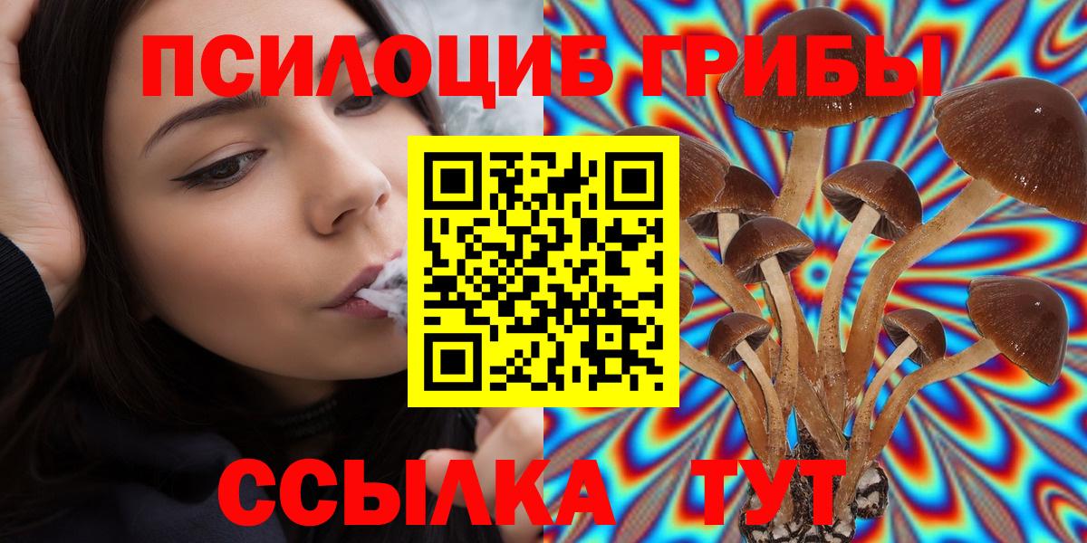 Галлюциногенные грибы мухоморы Сокол