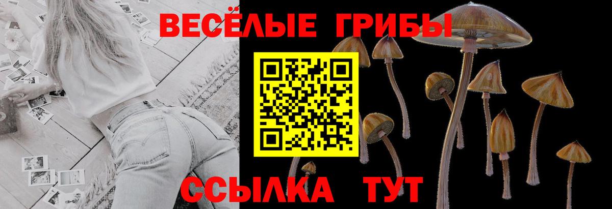 Псилоцибиновые грибы прущие грибы  Вход с VPN  Сокол  Галлюциногенные грибы Magic Shrooms 