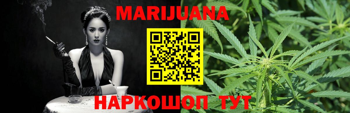 Конопля семена  Вход с VPN  Сокол  Бошки марихуана сатива 